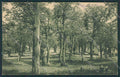 Genova Crocefieschi Bosco della Braia cartolina BB4389 – fronte
