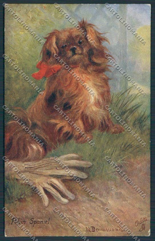 Artist Pekin Spaniel dog Drummond Tuck 9639 postcard BB4695 – fronte