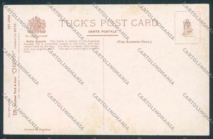 Artist Pekin Spaniel dog Drummond Tuck 9639 postcard BB4695 – retro