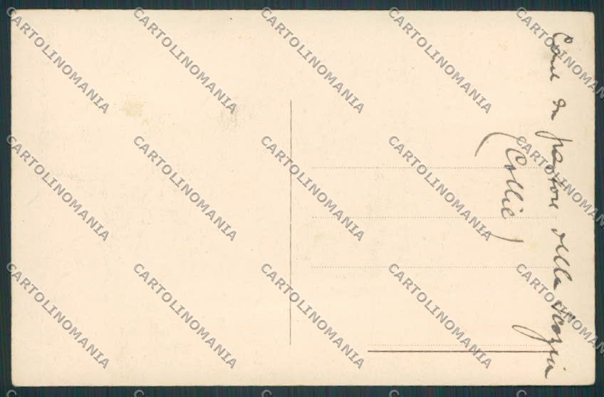 Animal Collie dog CORNER CREASED postcard BB4772 – retro