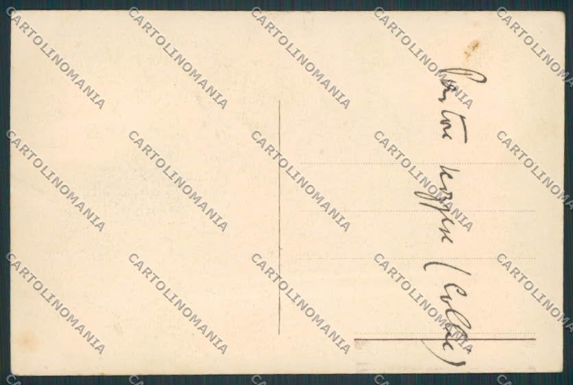 Animal Collie dog postcard BB4773 – retro