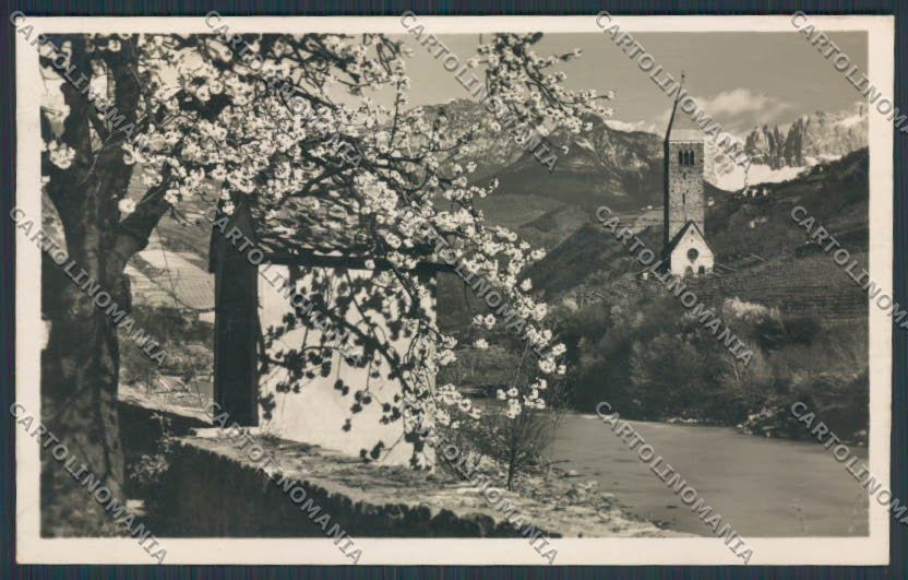 Bolzano Città Campiglio Isarco foto cartolina BB7249 – fronte