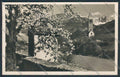 Bolzano Città Campiglio Isarco foto cartolina BB7249 – fronte