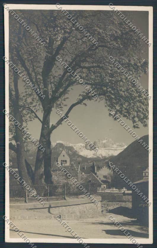 Bolzano Città Baehrendt FORI foto cartolina BB7272 – fronte