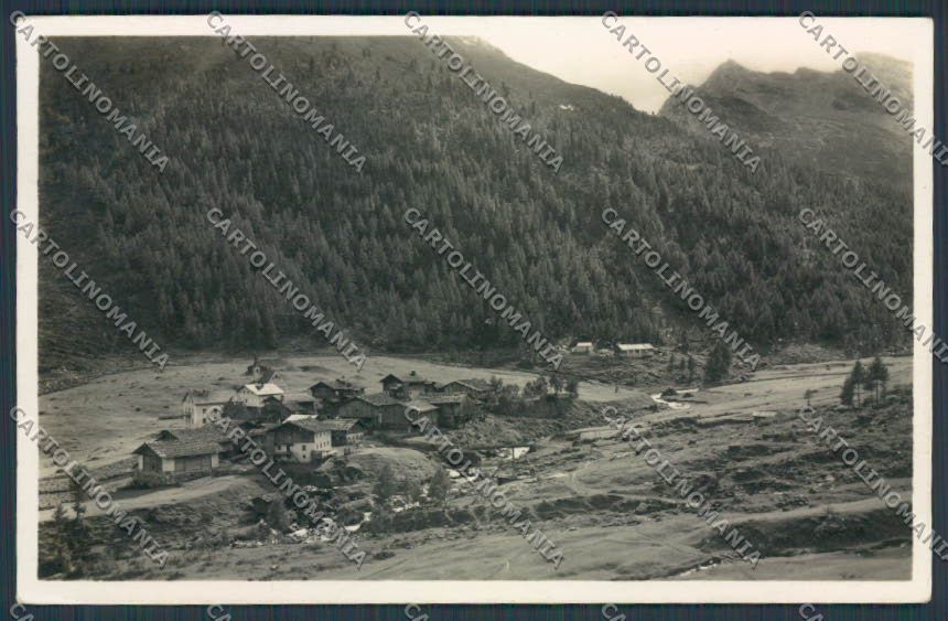 Bolzano Plan di Platea foto cartolina BB7657 – fronte