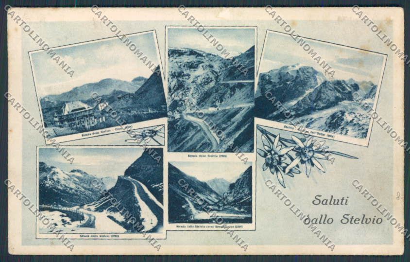 Bolzano Stelvio Saluti da Vedutine COLLA cartolina BB7667 – fronte