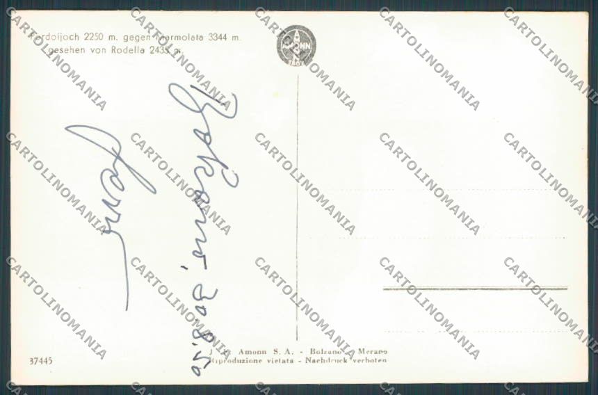 Belluno Pordoi Passo foto cartolina BB7694 – retro