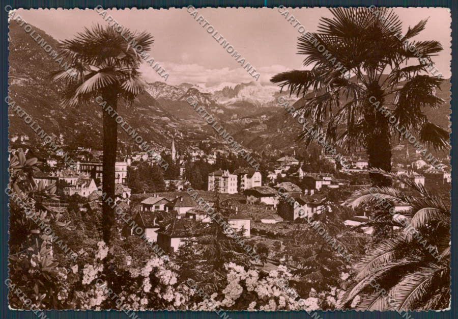 Bolzano Città foto FG cartolina BB7719 – fronte