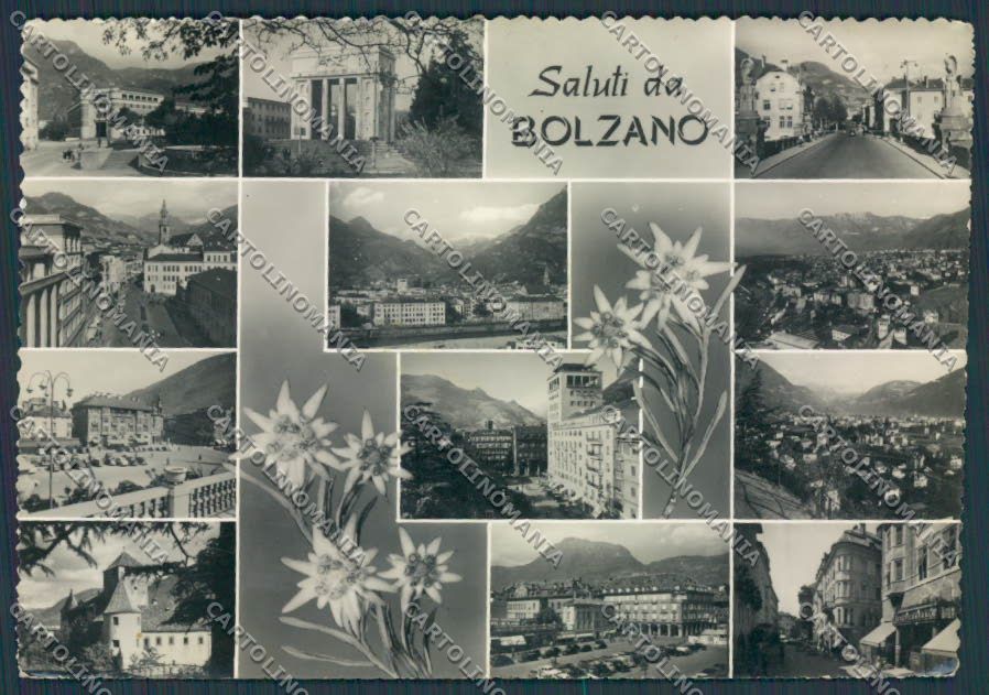 Bolzano Città Saluti da PIEGHINA foto FG cartolina BB7726 – fronte