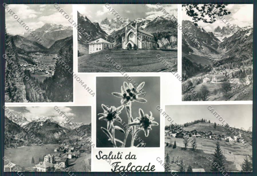 Bolzano Falcade Saluti da foto FG cartolina BB7808 – fronte