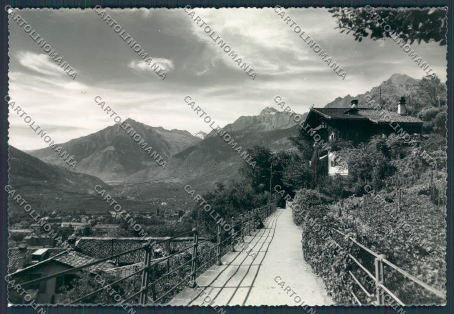 Bolzano Merano Passeggiata Tappeiner foto FG cartolina BB7825 – fronte