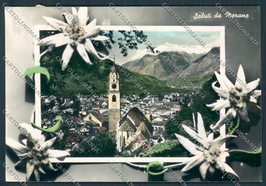 Bolzano Merano saluti da foto FG cartolina BB7827 – fronte