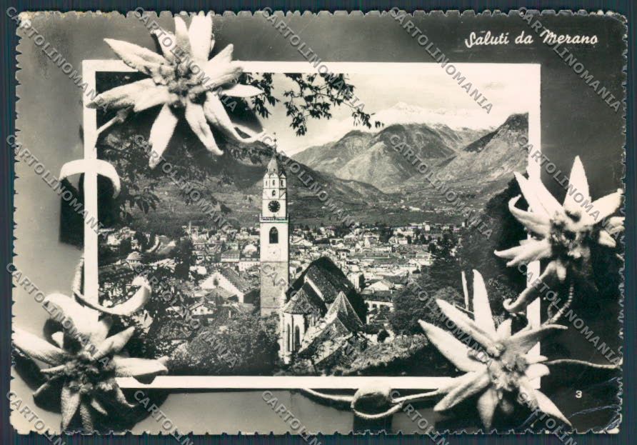 Bolzano Merano Panorama PIEGHINE foto FG cartolina BB7832 – fronte