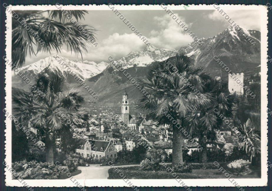 Bolzano Merano Panorama STRAPPI foto FG cartolina BB7834 – fronte