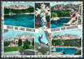 Bolzano Carezza Lago foto FG cartolina BB7861 – fronte