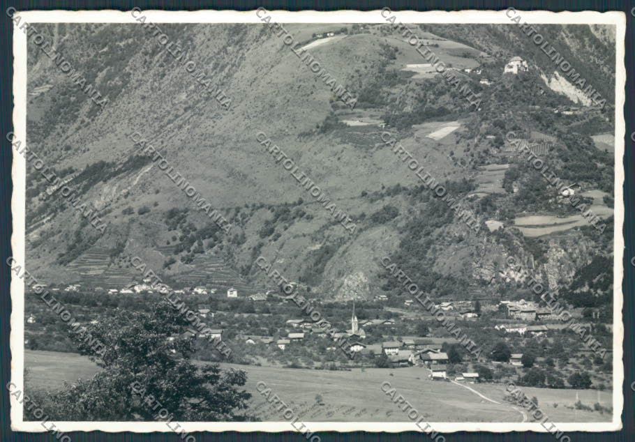 Bolzano Cirlat Stava foto FG cartolina BB7877 – fronte