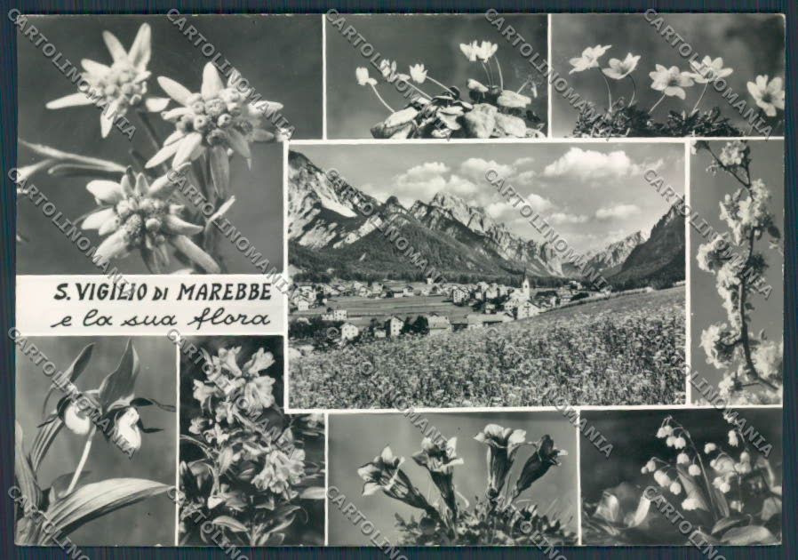 Bolzano San Vigilio Marebbe Flora Vedutine foto FG cartolina BB7883 – fronte