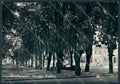 Milano Abbiategrasso Giardini Pubblici foto FG cartolina BB8021 – fronte
