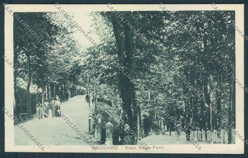 Vicenza Recoaro Viale Regie Fonti cartolina BB8134 – fronte
