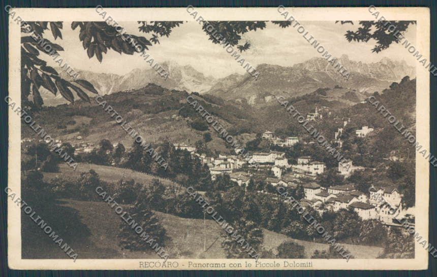 Vicenza Recoaro Panorama cartolina BB8145 – fronte