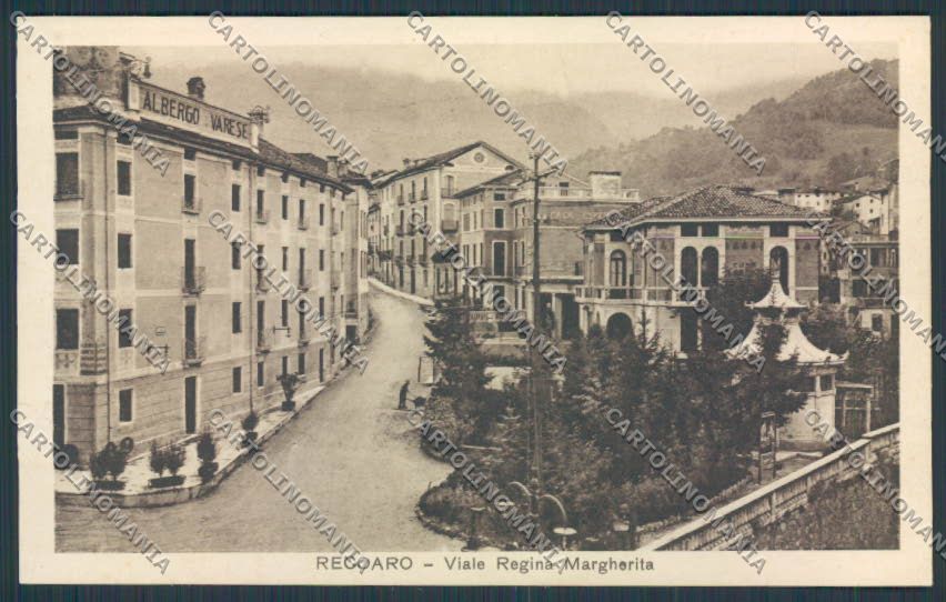 Vicenza Recoaro Viale Regina Margherita Albergo Varese cartolina BB8148 – fronte