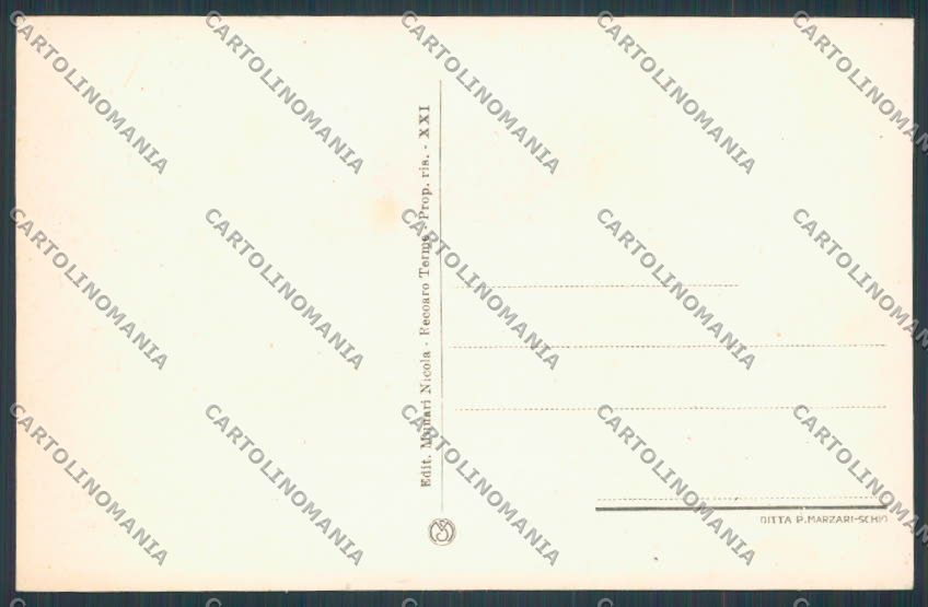Vicenza Recoaro Albergo Varese Via Margherita cartolina BB8155 – retro