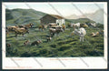 Vicenza Recoaro Malga Pascolo cartolina BB8160 – fronte
