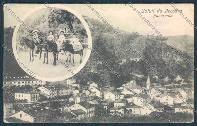 Vicenza Recoaro Donkey Asino Panorama cartolina BB8169 – fronte