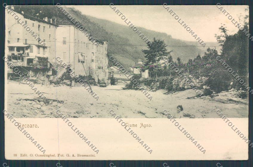 Vicenza Recoaro Fiume Agno PIEGA cartolina BB8171 – fronte