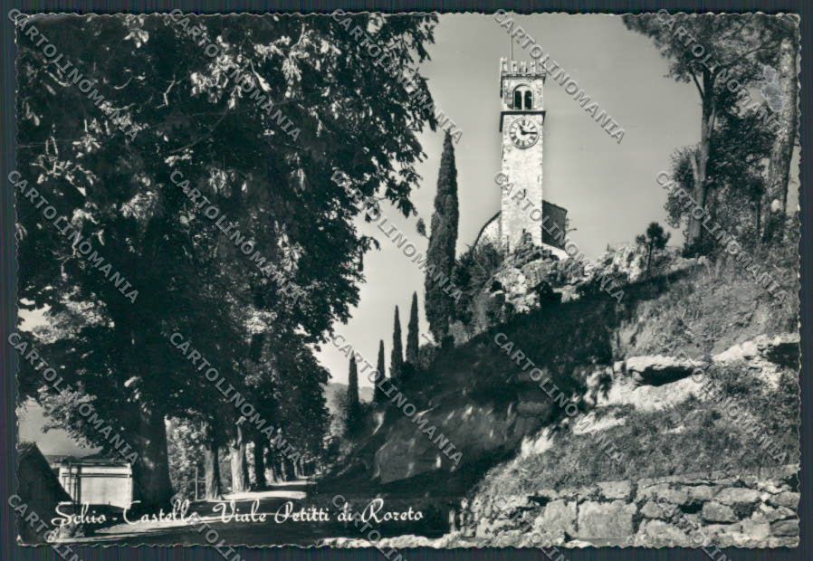 Vicenza Schio Viale Petitti di Roreto PIEGHINA foto FG cartolina BB8365 – fronte