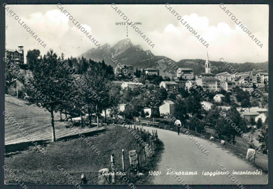 Vicenza Tonezza foto Panorama Spitz FG cartolina BB8574 – fronte