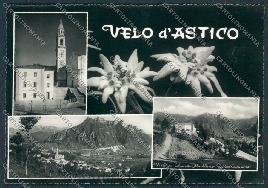 Vicenza Velo d'Astico Colinia Montebello Asilo foto FG cartolina BB8609 – fronte