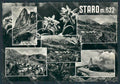 Vicenza Staro Monte Pasubio Ossario foto FG cartolina BB8623 – fronte