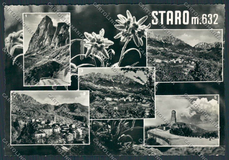 Vicenza Staro Monte Pasubio Ossario foto FG cartolina BB8623 – fronte