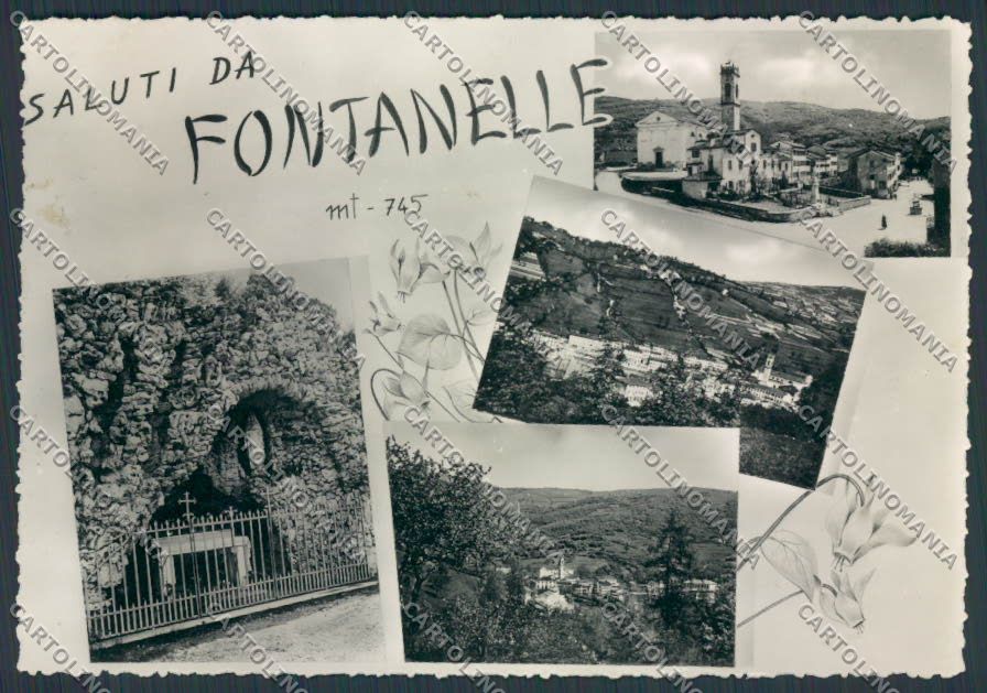 Vicenza Fontanelle Panorama foto FG cartolina BB8637 – fronte