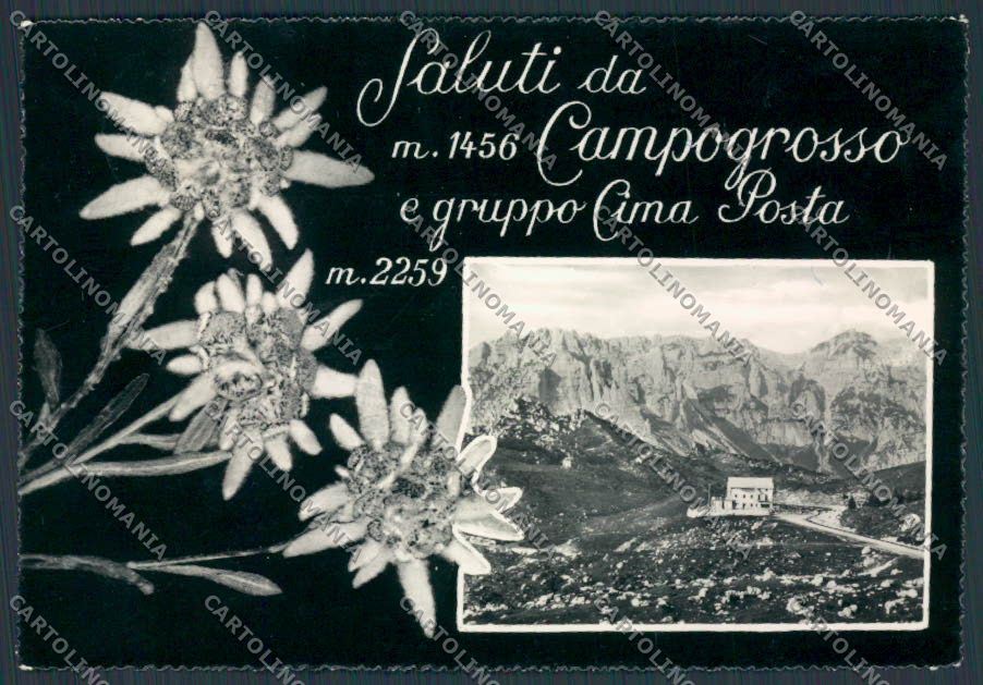 Vicenza Campogrosso Cima Posta foto FG cartolina BB8638 – fronte