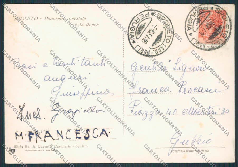 Perugia Spoleto Panorama FG cartolina BB8655 – retro