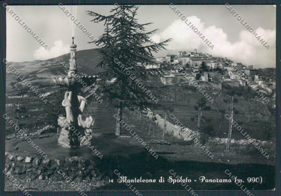Perugia Spoleto Monteleone di Panorama foto FG cartolina BB8656 – fronte