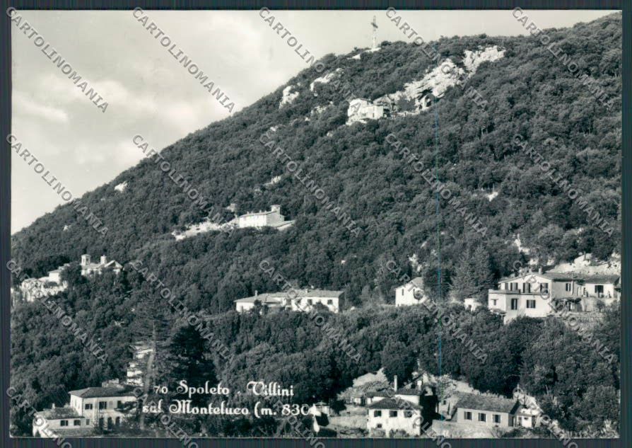 Perugia Spoleto Villini sul Monteluco foto FG cartolina BB8659 – fronte