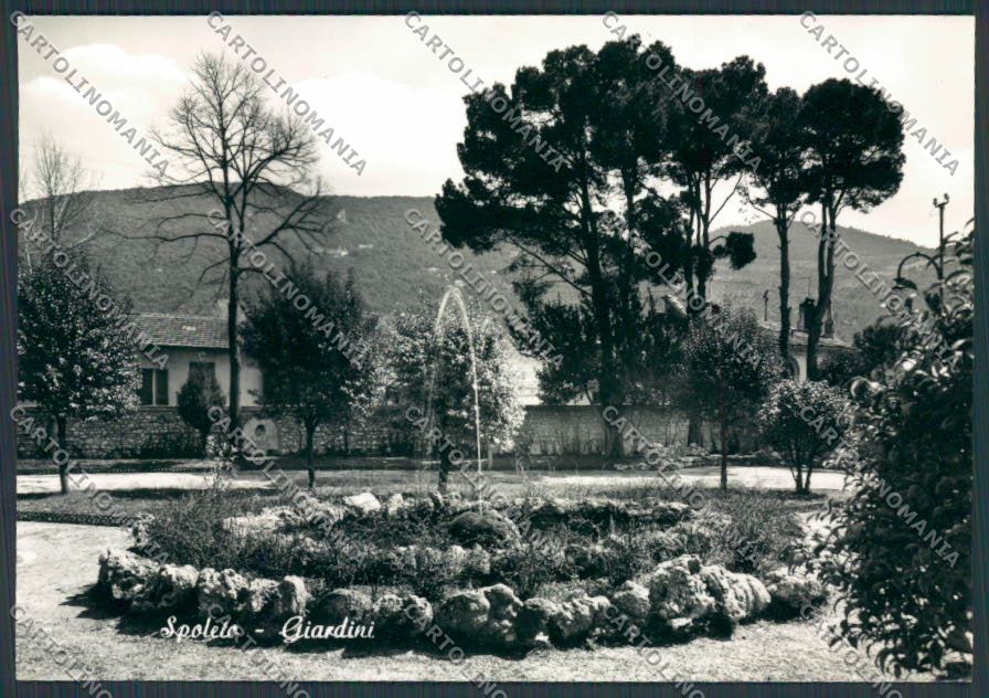 Perugia Spoleto Giardini PIEGA foto FG cartolina BB8661 – fronte
