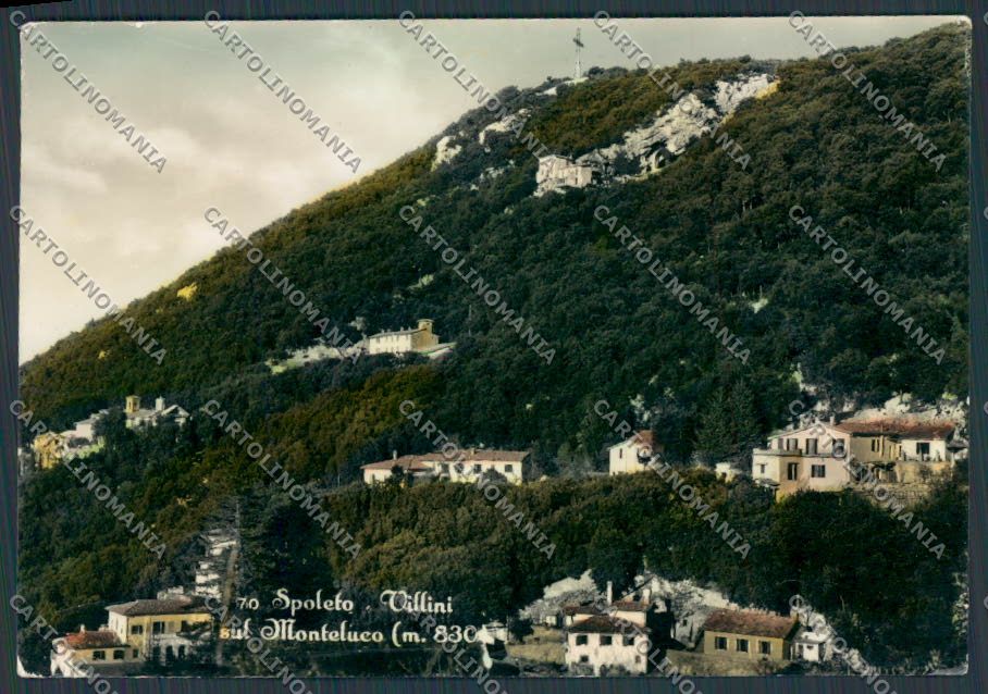 Perugia Spoleto Villini sul Monteluco foto FG cartolina BB8662 – fronte