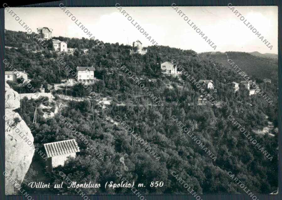 Perugia Spoleto Villini sul Monteluco PIEGA foto FG cartolina BB8663 – fronte