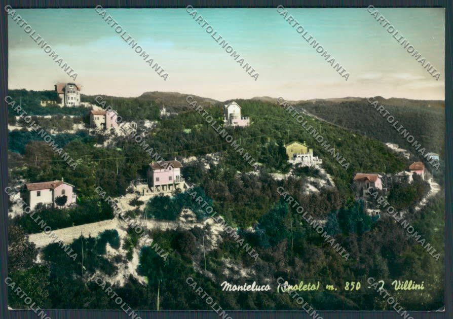 Perugia Spoleto Monteluco Villini foto FG cartolina BB8664 – fronte