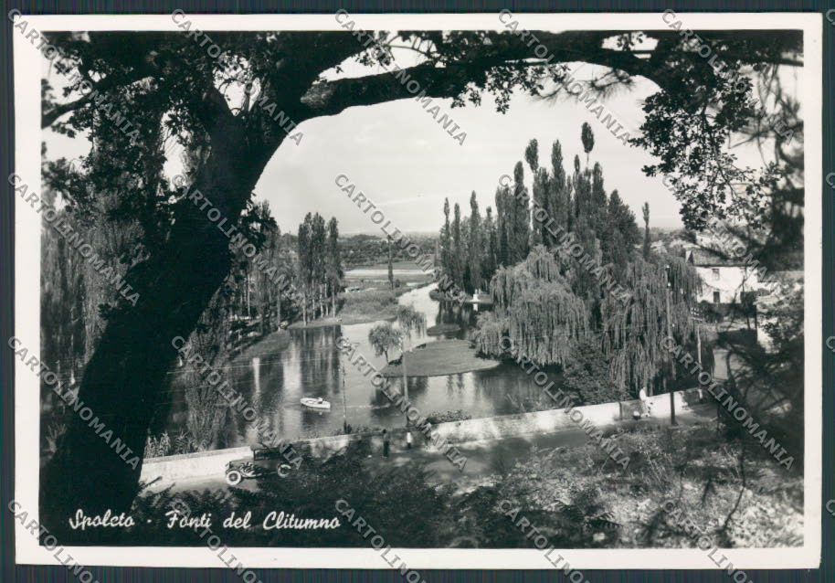 Perugia Spoleto Clitumno Fonti foto FG cartolina BB8665 – fronte