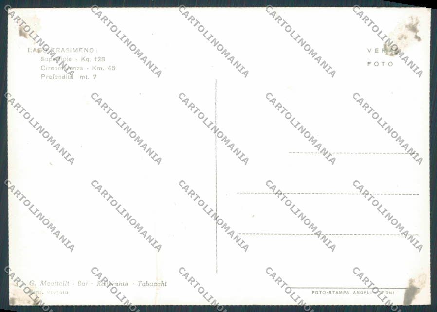 Perugia Passignano Viale Roma Lido ABRASA foto FG cartolina BB8829 – retro