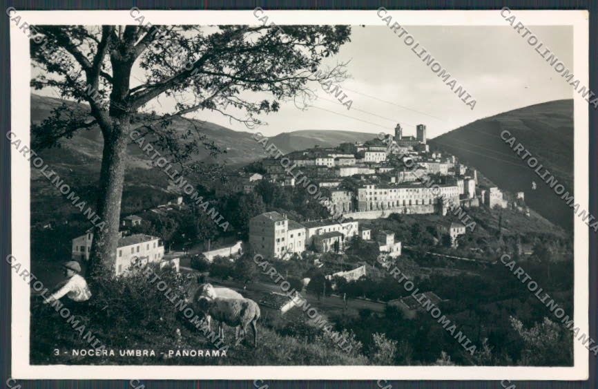 Perugia Nocera Umbra Panorama Gregge foto cartolina BB8868 – fronte