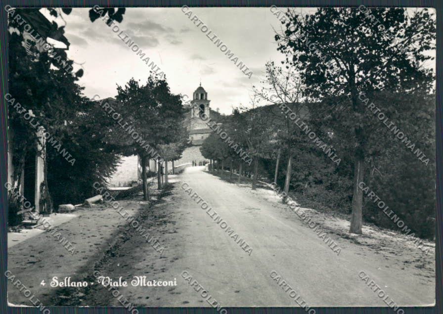 Perugia Sellano Viale Marconi foto FG cartolina BB9032 – fronte