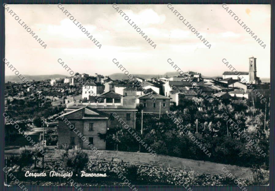 Perugia Cerqueto Panorama foto FG cartolina BB9036 – fronte