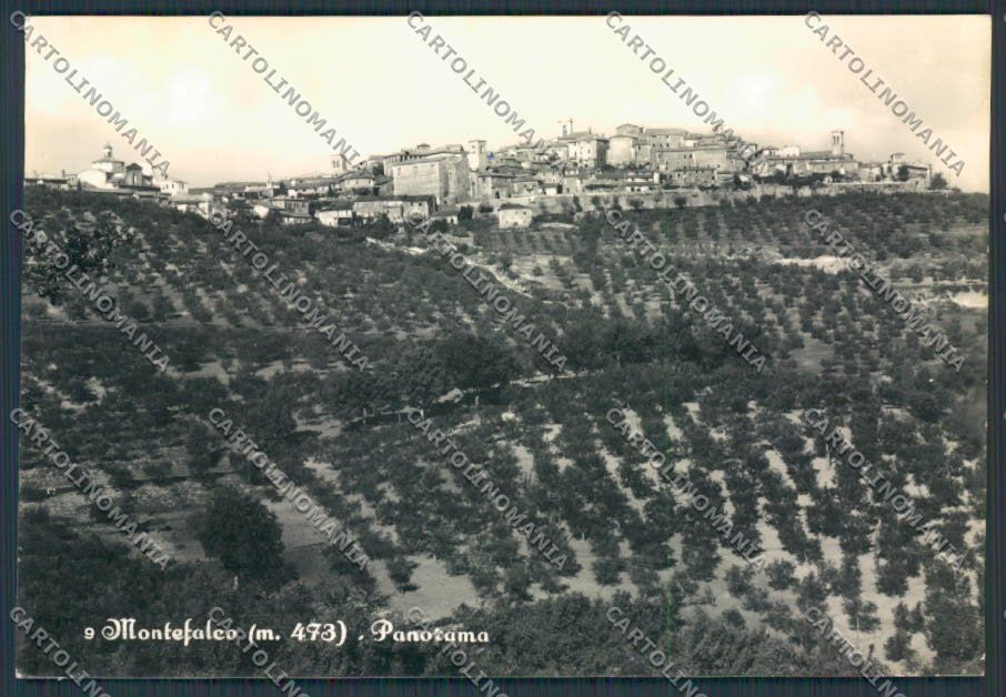 Perugia Montefalco Panorama foto FG cartolina BB9063 – fronte