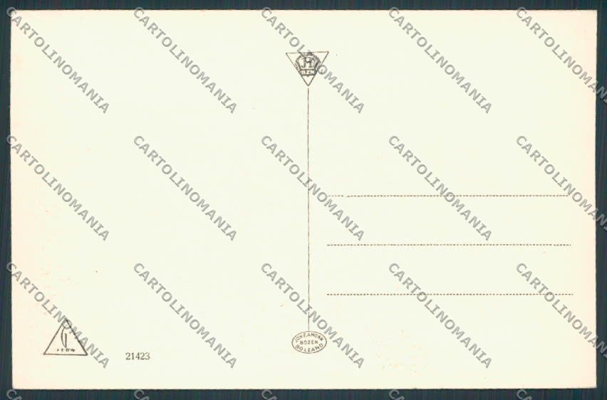 Belluno Cortina Panorama cartolina BB9102 – retro